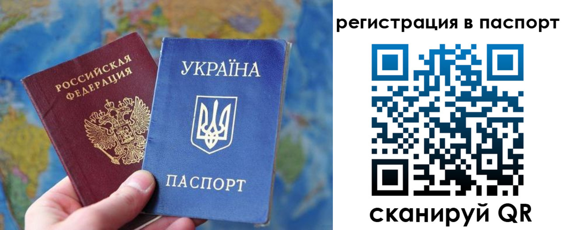 прописка иностранных граждан в Мончегорске