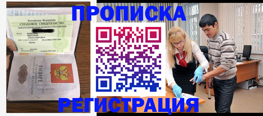 временная регистрация адрес в Мончегорске